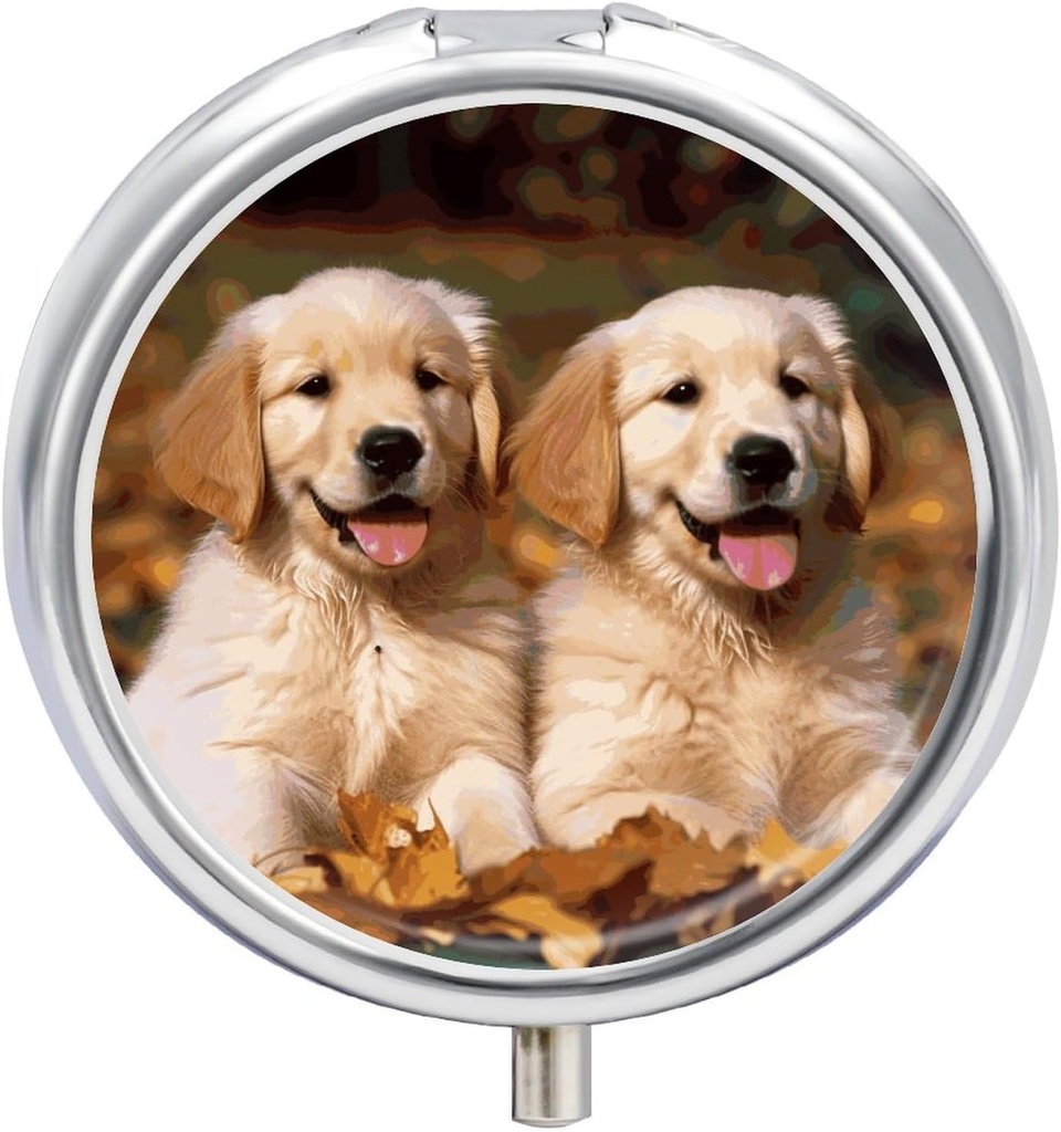 Medicine Box 3 Compartiment Pillendoos Leuke kleine pil Box Golden Retriever Honden Puppies Huisdieren Geprint Ronde pil Box Multi functie pil Box voor vitamines Visolie Supplementen Parels