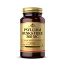 Solgar Psyllium Husks Fiber 500 mg - 200 plantaardige capsules - Non-GMO, Veganistisch, Glutenvrij, Zuivelvrij, Kosjer - 100 porties