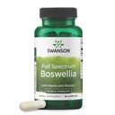 Swanson dubbele sterkte Boswellia Serrata Ayurvedic Joint Supplement voor actieve volwassenen zoeken flexibiliteit en mobiliteit ondersteuning - 800 mg (60 capsules)