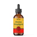 Siberische Adaptogenen Kruidenmix met Maral, Spikenard, Eleuthero, Red Ginseng, Rhodiola, Schisandra, Licorice, Peony, & More - Boosts Energy, Enhances Focus, Reduces Stress, 2 Fluid oz (60 ml)