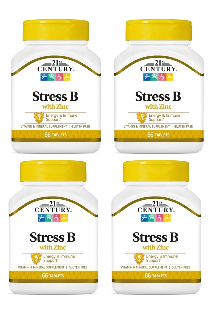 21e eeuwstress B W/Zinc 66 aantal (4 verpakkingen)