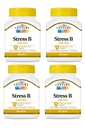 21e eeuwstress B W/Zinc 66 aantal (4 verpakkingen)