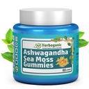 HERBOGNIC Ashwagandha Sea Moss Gummies - 60 Tellen