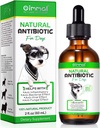 Natuurlijke hond antibiotica supplement 