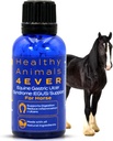 HA4E - Horse Respiratory Issues Ondersteuning - helpt bij het voorkomen van heaves, allergieën en infecties 