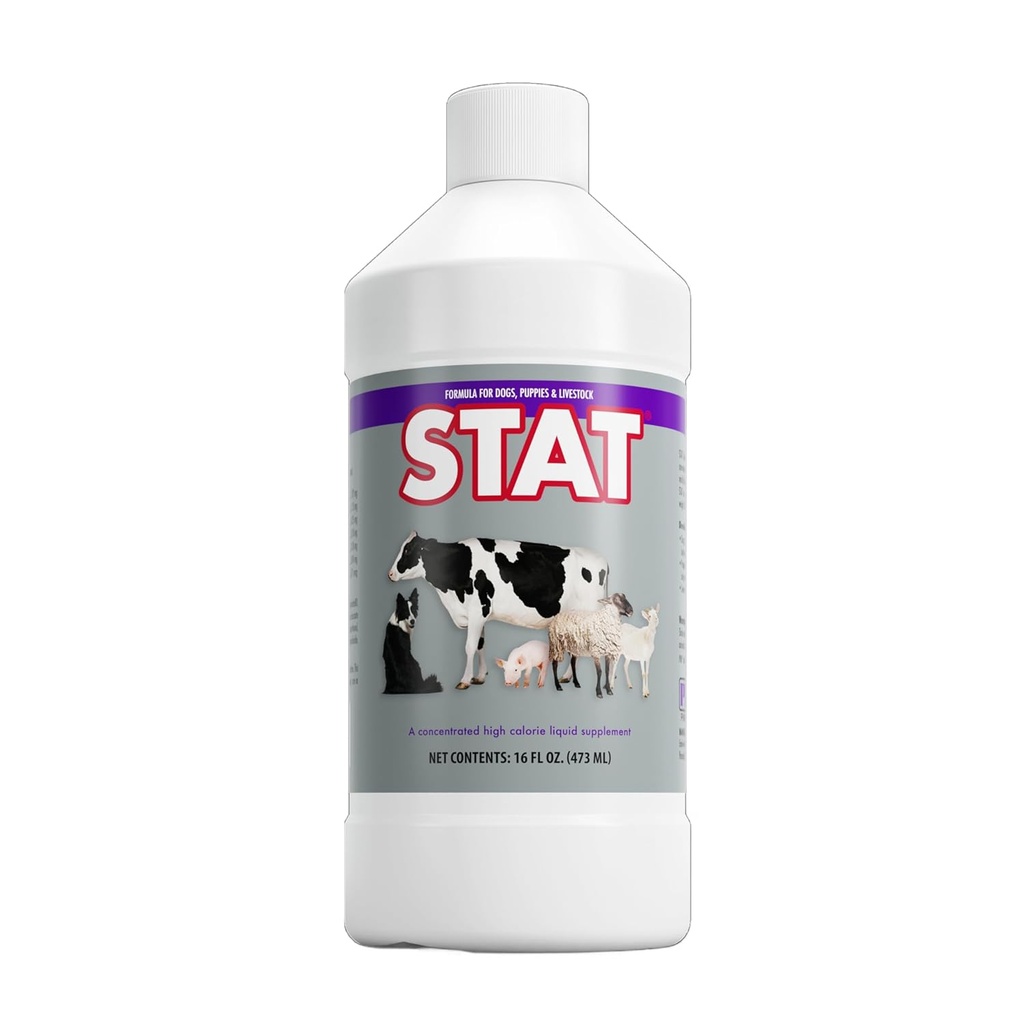 PRN Pharmacal STAT - High Calorie Nutritional Supplement to Help Restore Hydration & Nutrition Levels in Animals - Vanilla Flavored Dietary Support with Vitamin A, D3, C, E, & More - 16 Fl Oz