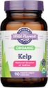Oregons Wild Harvest Biologische Kelp, 90 CT