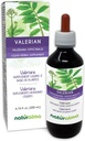 Naturalma Valeriaan (Valariana officinalis) Root Alcoholvrije Tinctuur - 6,76 fl oz Liquid Extract in druppels - Kruidensupplement - Veganistisch