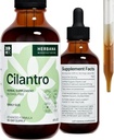 Cilantro Leaf 4 fl oz Liquid Extract - Organic Coriandrum Sativum Drops for Body Cleansing & Detox - Natural Calming Herbal Tinctuur Supplement for Nervery System - High Potency - 90-Day Supply