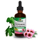 Nature's Antwoord Echinacea & Goldenseal met Organische Alcohol, 2-Fluid Ounces