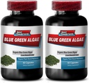 Pure Green Superfood van Klamath Lake te bevorderen gezondere en jongere uitziende huid - Blue Green Algen 500mg, Blue Green Algen Capsules, Blue Green Spirulina, Spirulina, Chlorella - 2B 120 Cap