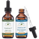 Native Remedies Complete Sciatigon ComboPack - Alle natuurlijke kruidensupplement helpt de druk op de Ischiatische Zenuw en Natuurlijke Homeopathische Remedie vermindert pijn, kramp en Numbness