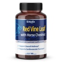 Red Vine Leaf and Horse Chestnut, 50% Flavonoïden voor Leg Vein Ondersteuning, Huid, Hart Wellness - Made in The USA