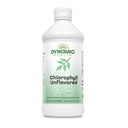 Dynamic Health Liquid Chlorofyl Unflavored 100 mg, Natrium Koper Chlorofylen met Alfalfa en Mulberry bladeren, Plant Cleanse en Deodoriseren, Geen toegevoegde suiker, 16 Fl Oz