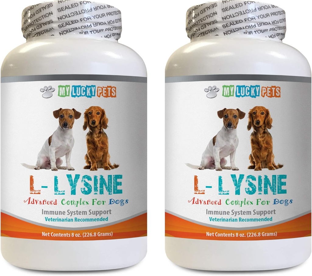 Bot en Joint Health for Dogs - Honden LYSINE Powder - Pure Powder Form - Immuun System Support - Vet Aanbevolen - lysine Bulk - 2 Fles (16oz 453,6 Gram)