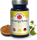EnergyTune Energy Supplements, verhoogt de Nutriënt Absorptie en bevordert de algehele gezondheids- en immuunondersteuning - Non-GMO, Glutenvrij, Vegetarisch - Veg Capsules (60 Count (Pack of 1))