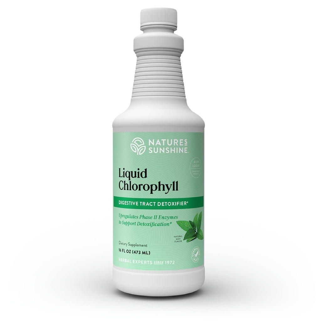 Nature's Sunshine Liquid Chlorofyl - Immunity Support, Detox & Cleanse, Chlorofyl Liquid Drops with Spearmint Oil, Natural Energy Boost, Internal Deodorant - 16 Fl Oz