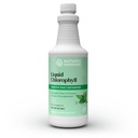 Nature's Sunshine Liquid Chlorofyl - Immunity Support, Detox & Cleanse, Chlorofyl Liquid Drops with Spearmint Oil, Natural Energy Boost, Internal Deodorant - 16 Fl Oz