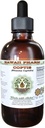 Coptis Alcoholvrije Liquid Extract, Coptis (Rhizoma Coptidis) Gedroogde Wortel Glycerite Hawaii Pharm Natural Kruidensupplement 2 oz