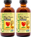 KINDLIFE ESSENTIËLES, Kids Liquid Multivitamine en Mineraal Supplement - Liquid Vitamines voor kinderen, all-natural, Gluten-Free, Non-GMO - Natural Orange & Mango Smaak, 8 Ounce Fles (pakket van 2)