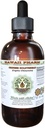 Chinese Goldthread Alcoholvrije Liquid Extract, Chinese Goldthread (Coptis Chinensis) Gedroogde Wortel Glycerite Hawaii Pharm Natural Herbal Supplement 2oz