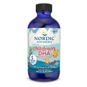 Nordic Naturals DHA, Aardbei - 4 oz voor kinderen - 530 mg Omega-3 met EPA & DHA - Hersenontwikkeling & functie - Non-GMO - 48 porties