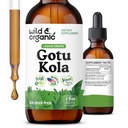 Wild & Organic Gotu Kola Herb Tinctuur - Hersenondersteuning - Gotu Kola Liquid Extract Drops - Vegan, Sugar & Alcohol-Free Centella Asiatica Supplement - 2 fl oz