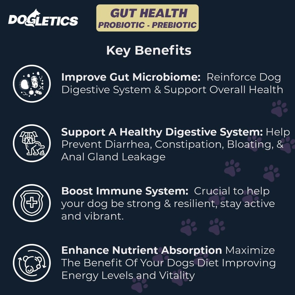 Gut Health Probiotic & Prebiotic - 90ct ondersteuning Maag Microbiome, voorkomen van spijsverteringsproblemen, verminderen van anale Gland problemen, verbeteren van de immuunfunctie en de totale energie