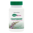 NaturesPlus Herbal Actives Chasteberry - 60 Capsules - Supports Menstrual Well-Being and Reproductive Health - Vegan, Gluten Free - 60 Servings