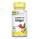 SOLARAY Gefermenteerde Ginger Root 400mg 100 VegCaps