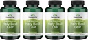 Swanson Holy Basil Leaf (Tulsi) - Stress Support and Well-Being Supplement - (120 capsules, 800 mg per portie) (4 verpakkingen)