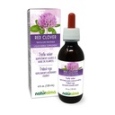 Naturalma Red Clover (Trifolium pratense) kruid met bloemen Alcoholvrije Tinctuur - 4 fl oz Liquid Extract in druppels - Kruidensupplement - Veganistisch