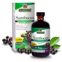 Antwoord van de natuur Sambucus Elder Berry Extract Syrup 8 Ounce ( 3 Pack ) 