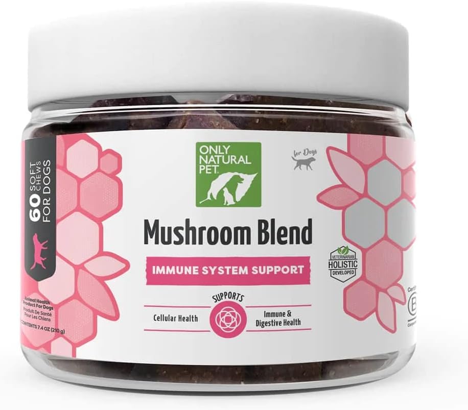 Alleen Natural Pet Mushroom Blend Immune System Support Supplement voor honden - Boost gezond Cellulair, Digestief, & leverfunctie - Multivitamine Beta-Glucan & Antioxidant - Bacon Smaak 60 Zachte Kauwen