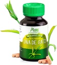 Cat's Claw (Uncaria Tormentosa) Capsules l 1000mg per Serving superfood l Joints, Immune and Cardiovasculaire Systems Supporter l Vegan Pillen l Duurzaam gewonnen l Uña de Gato l Andes
