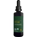 Global Healing Center - Biologische Tulsi (Holy Basil Leaf Extract) Vegan Liquid Supplement Drops (Organic Basil) - Bio available Herb for Normal Stress Response, Natural Energy & Immune Support
