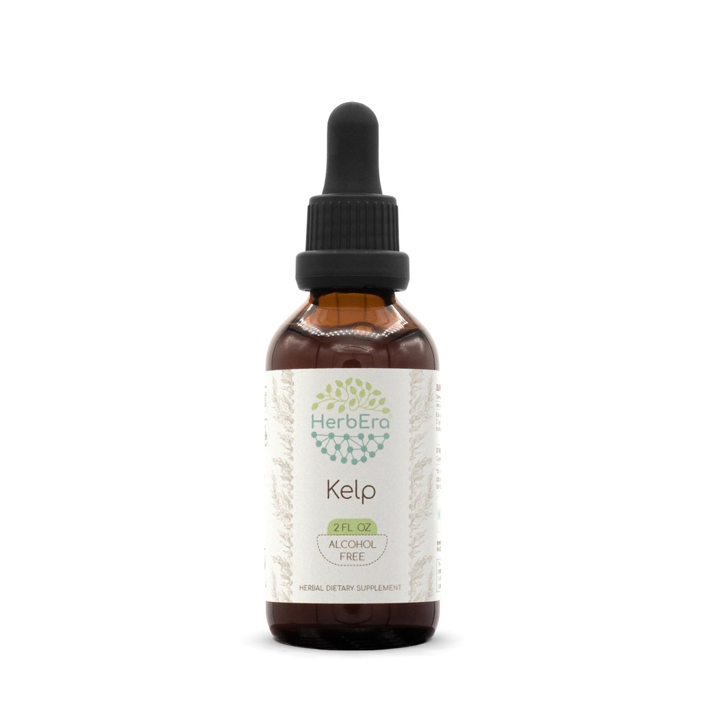 Kelp B60 Alcoholvrij Kruidenextract Tinctuur, Geconcentreerde Liquid Drops Natural Kelp (Ascophyllum nodosum) (2 fl oz)