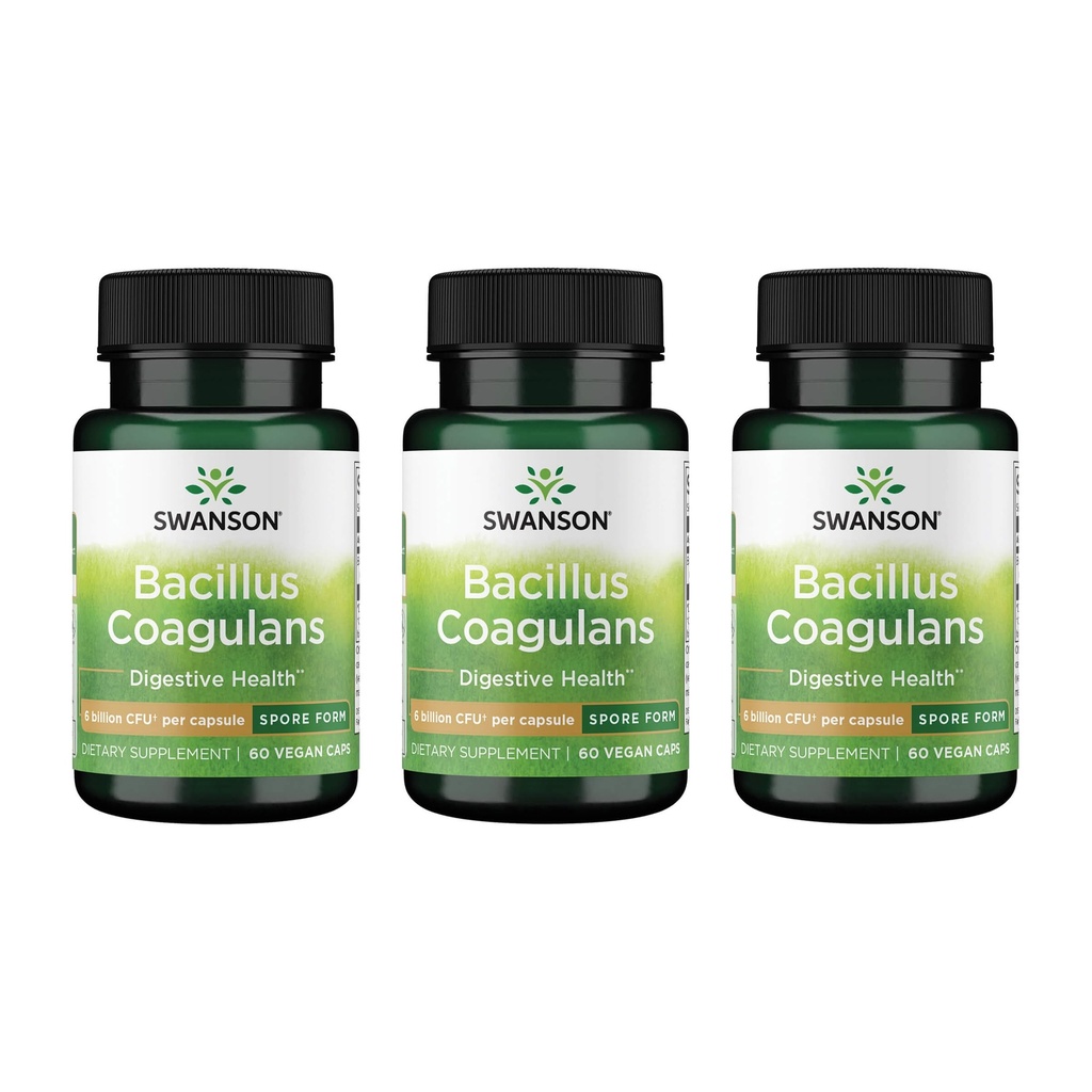 Swanson Bacillus Coagulans - Natural Probiotic Supplement Supporting Digestive Health w/6 Miljard CFU - May Support GI & Overall Gut Health - (60 Veggie Capsules) 3 Pack