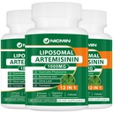 Liposomale Artemisinin Supplement 1000mg, Sweet Wormwood Extract met 200mg quercetine Phytosome, Maximale Absorptie voor Antioxidant 180 Capsules
