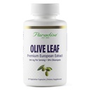 Paradijs Kruiden Olive Leaf Extract van Spaanse Andalusische olijfbomen, Super Potent, Ultra Pure, Non-GMO, Vegan, Glutenvrij, 60 Vegetarische Capsules