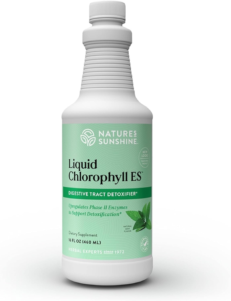 Nature's Sunshine Liquid Chlorofyl Extra kracht - Immunity Support, Detox & Cleanse, Chlorofyl Liquid Drops with Spearmint Oil, Natural Energy Boost, Internal Deodorant - 16 Fl Oz