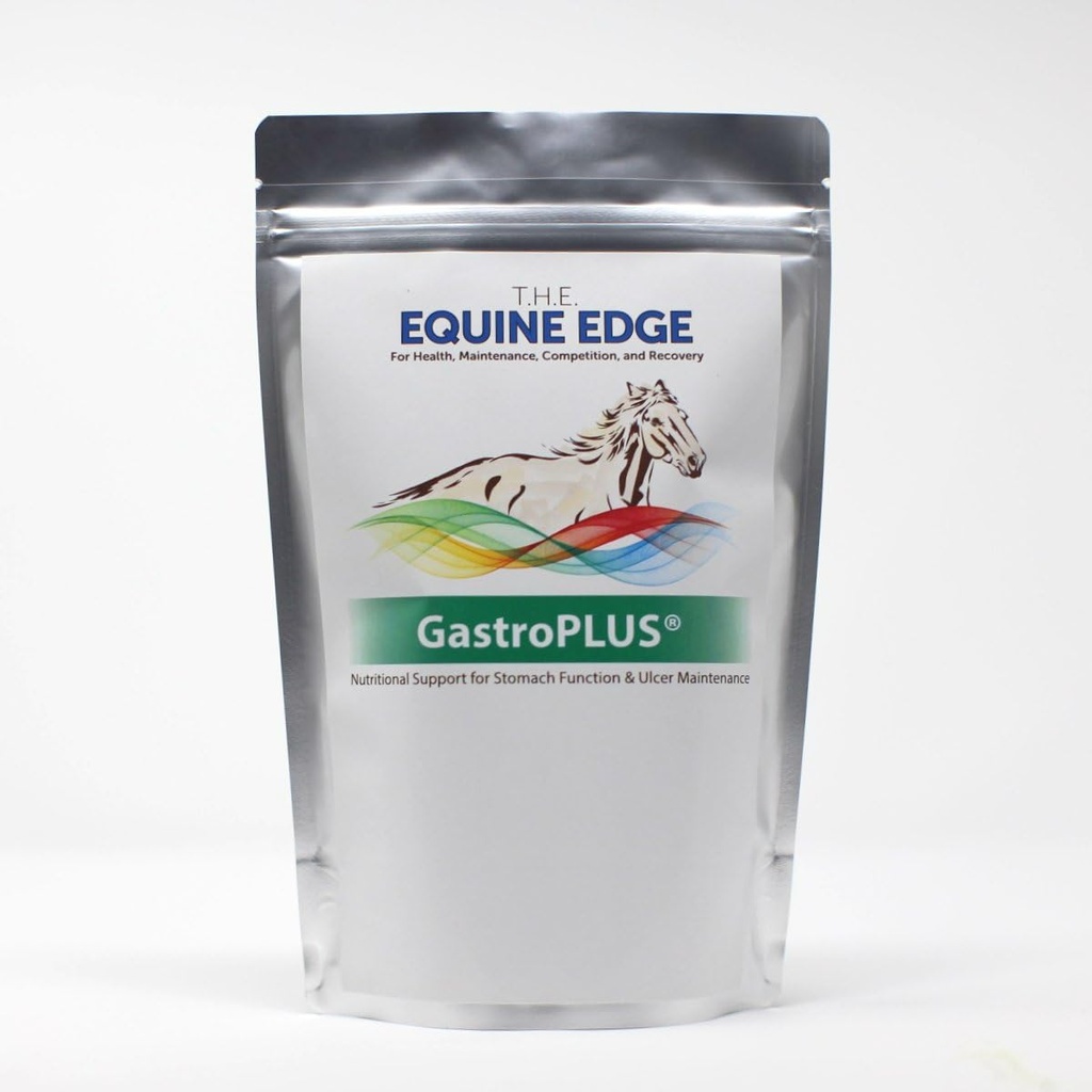 De Edge GastroPLUS 30 porties
