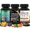 Shilajit, Sea Moss, Black Seed Oil,Mushroom & Herb Supplement with Lions Mane, Turkey Tail, Reishi, Cordyceps, Chaga, Ashwagandha, Ginger, Rhodiola Rosea & Panax Ginseng, All in One Supplement.