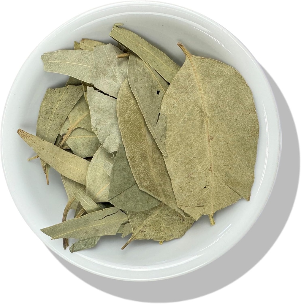 Evergreen Kruiden Eucalipto Eucalyptus Leaves Herb 4 oz. eucalyptus, lint kauwgom, glanzende kauwgom - Hersluitbare Stand Up Pouch om te zorgen voor versheid!