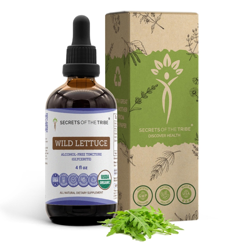 Geheimen van de stam Wilde sla Tinctuur Alcoholvrij Extract, USDA Biologische Wilde Sla (Lactuca virosa) Gedroogd Kruiden (4 FL OZ)