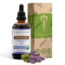 Geheimen van de stam Bugleweed Tinctuur Alcoholvrije Liquid Extract, USDA Biologische Bugleweed (Lycopus Virginicus) Gedroogde Kruiden (4 FL OZ)
