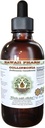 Collinsonia Alcoholvrije Liquid Extract, Collinsonia (Collinsonia Canadensis) Gedroogde Wortel Glyceriet Hawaii Pharm Natural Kruidensupplement 4 oz