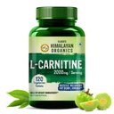 Himalaya Organics L-Carnitine L-Tartrate with Green Tea Extract 2000 Mg 