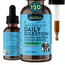 Dier Essentials Dagelijkse spijsvertering voor honden & katten - Digestieve ondersteuning, verse adem, gemberwortel, venkelzaadextract, vloeibare supplement - 2 Fl Oz
