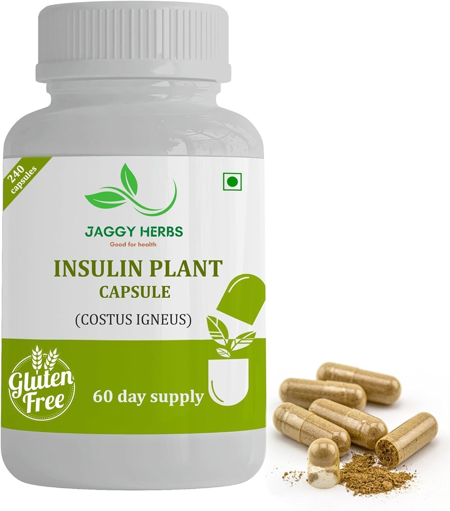 Generic JAGGY Premium Insulin Plant Capsules (Costus Igneus) Natural Supplement 240 Veggie Capsules (60 Day Supply) Insulin Plant